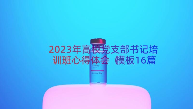 2023年高校党支部书记培训班心得体会（模板16篇）