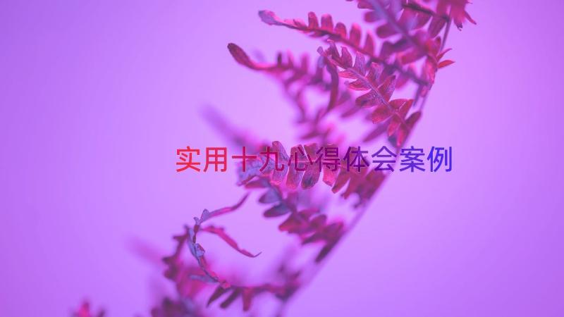 实用十九心得体会（案例15篇）