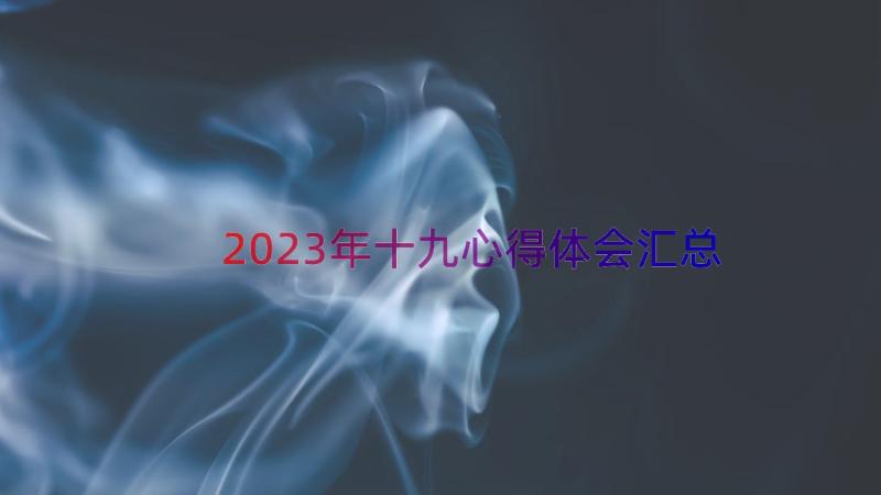 2023年十九心得体会（汇总15篇）