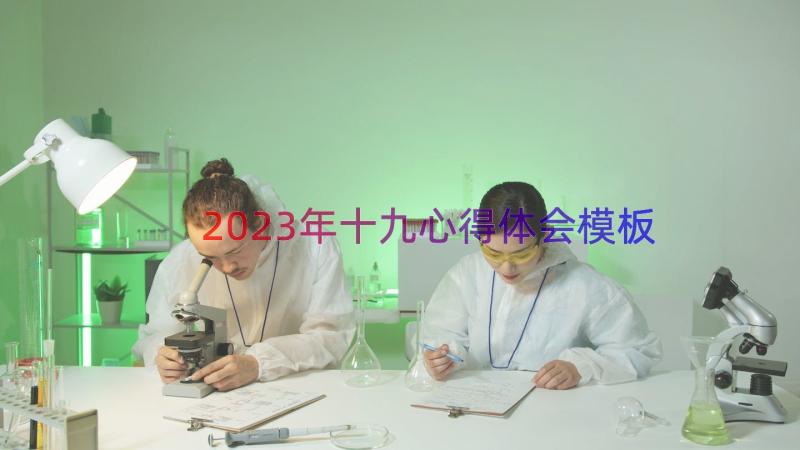 2023年十九心得体会（模板13篇）