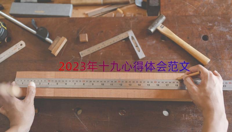 2023年十九心得体会范文（16篇）