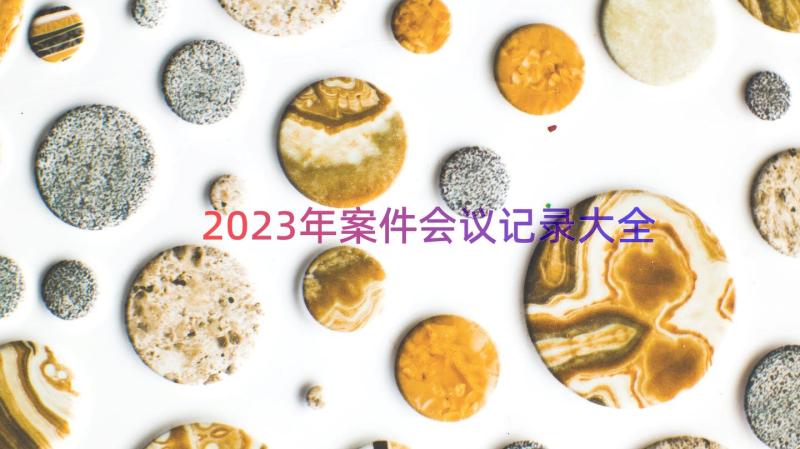 2023年案件会议记录大全（17篇）