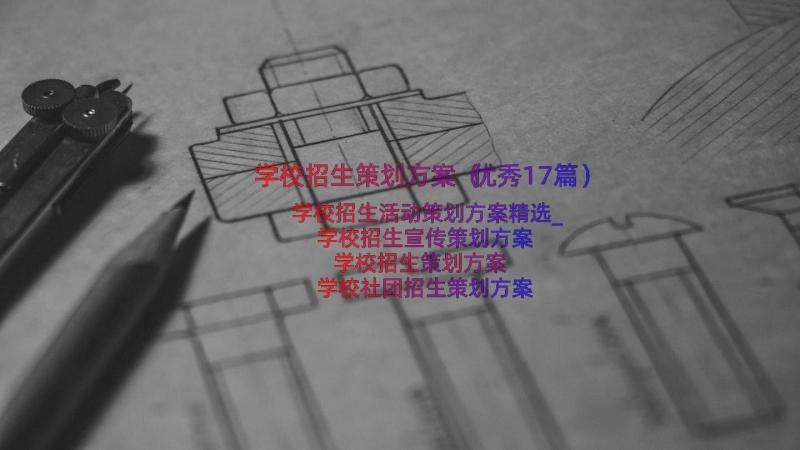 学校招生策划方案（优秀17篇）