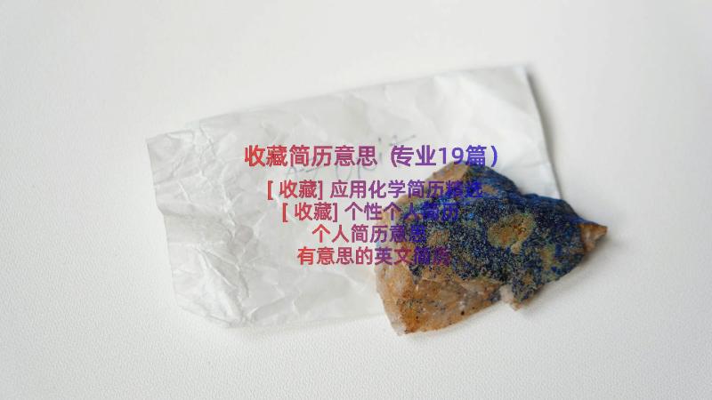 收藏简历意思（专业19篇）