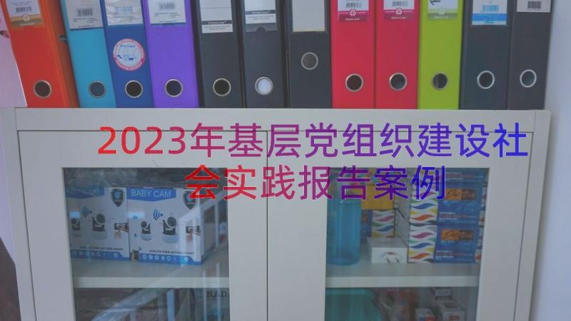 2023年基层党组织建设社会实践报告（案例15篇）