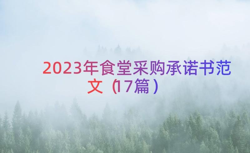 2023年食堂采购承诺书范文（17篇）