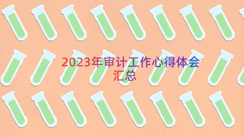 2023年审计工作心得体会（汇总16篇）