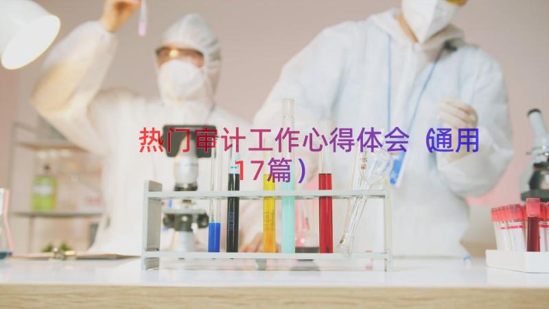 热门审计工作心得体会（通用17篇）