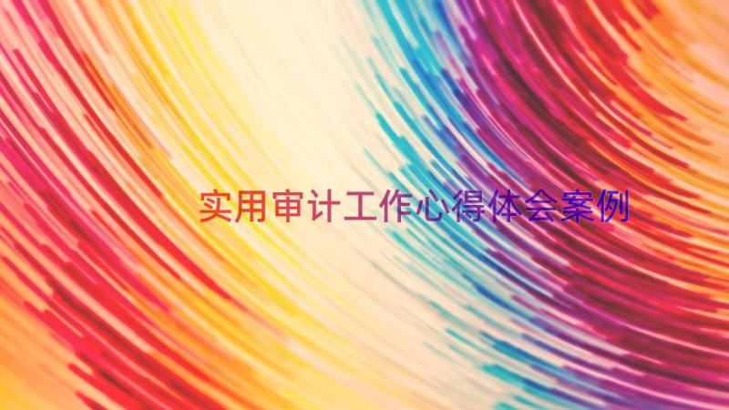 实用审计工作心得体会（案例17篇）