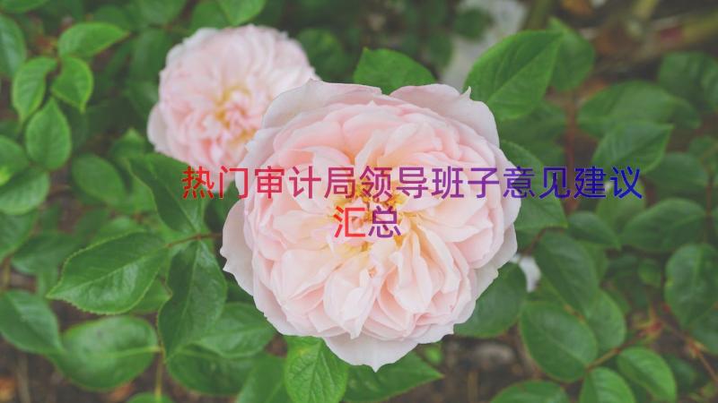 热门审计局领导班子意见建议（汇总15篇）