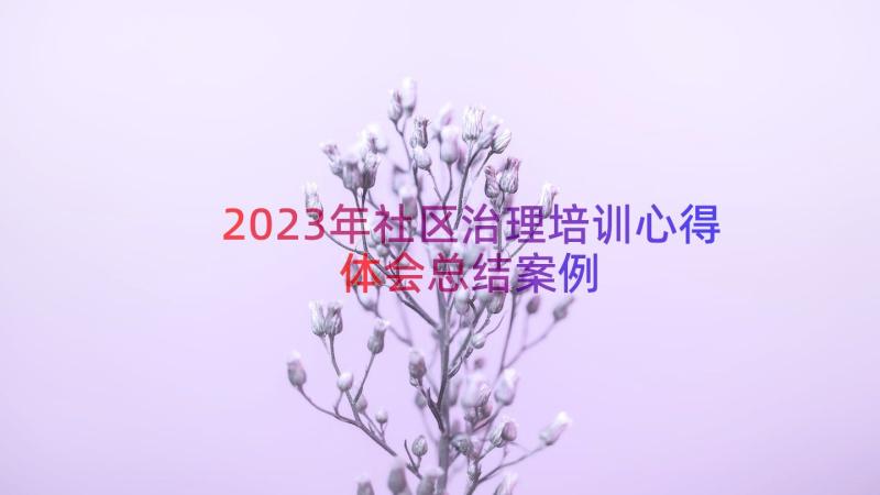 2023年社区治理培训心得体会总结（案例14篇）