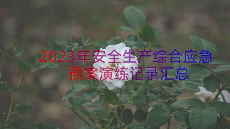 2023年安全生产综合应急预案演练记录（汇总14篇）