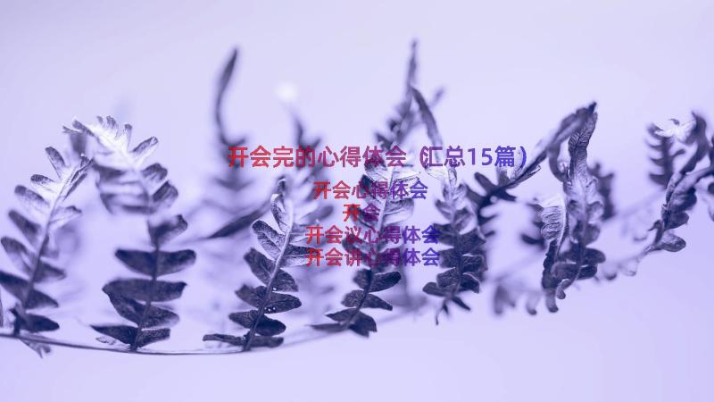 开会完的心得体会（汇总15篇）