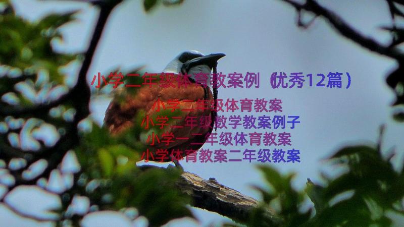 小学二年级体育教案例（优秀12篇）