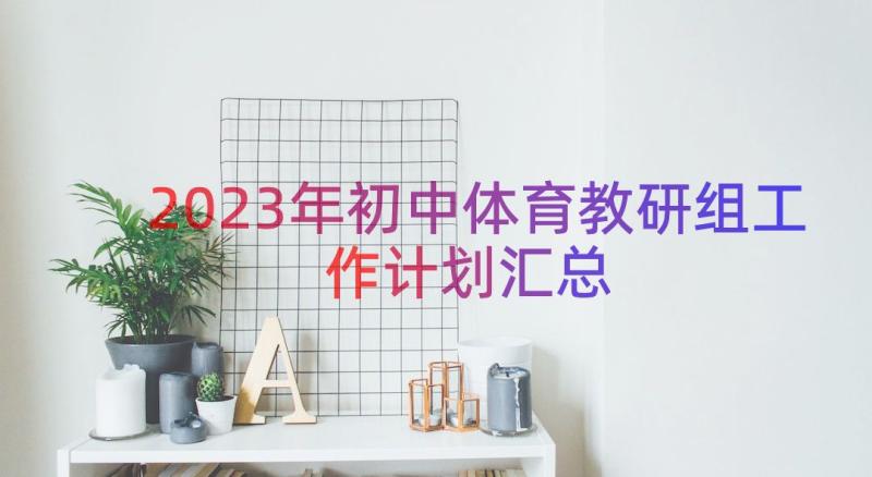 2023年初中体育教研组工作计划（汇总15篇）