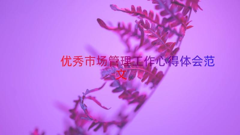 优秀市场管理工作心得体会范文（14篇）