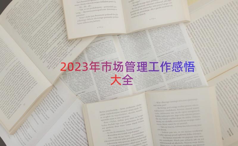 2023年市场管理工作感悟大全（16篇）