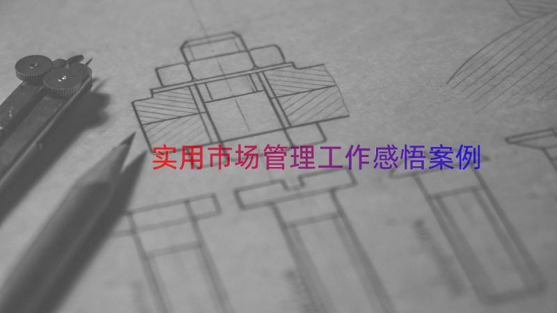 实用市场管理工作感悟（案例12篇）