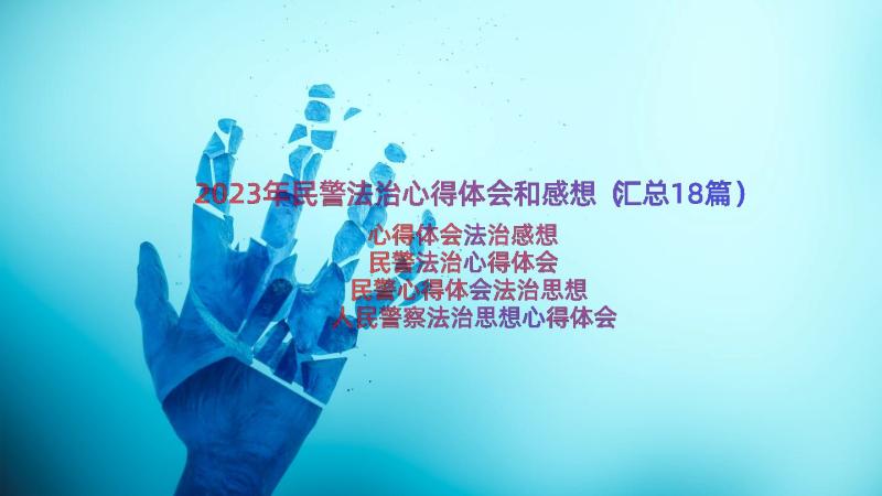 2023年民警法治心得体会和感想（汇总18篇）