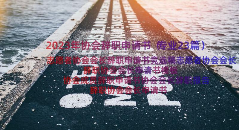 2023年协会辞职申请书（专业23篇）