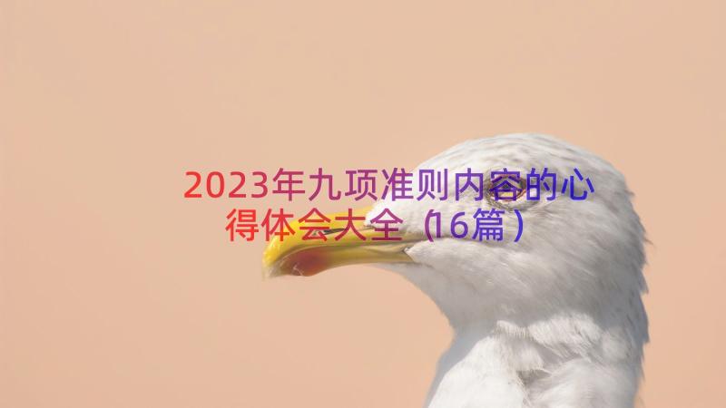 2023年九项准则内容的心得体会大全（16篇）