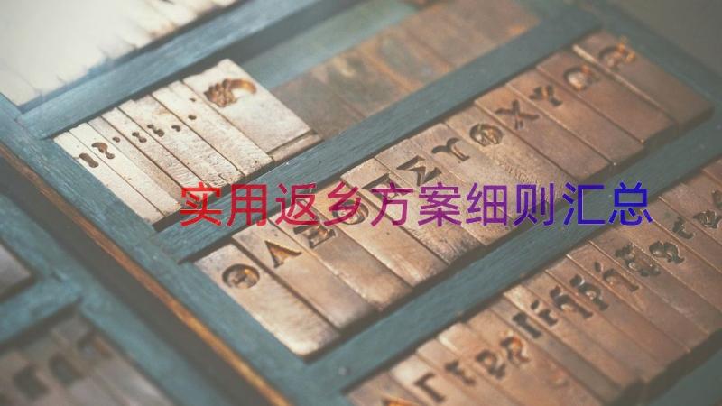 实用返乡方案细则（汇总17篇）