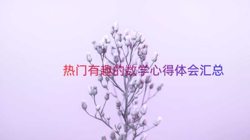 热门有趣的数学心得体会（汇总17篇）