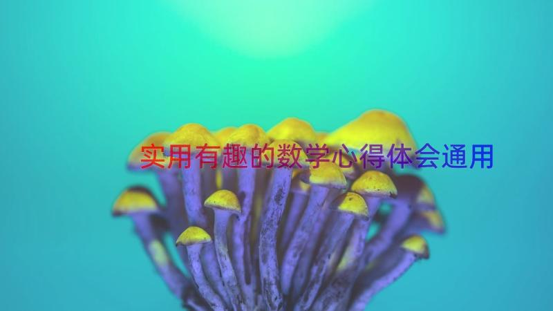 实用有趣的数学心得体会（通用12篇）