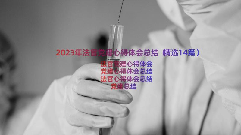 2023年法官党建心得体会总结（精选14篇）