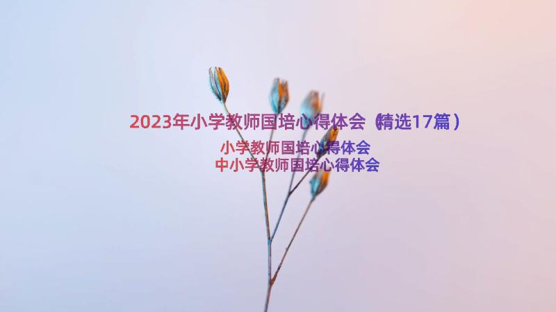 2023年小学教师国培心得体会（精选17篇）