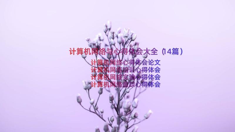 计算机网络与心得体会大全（14篇）