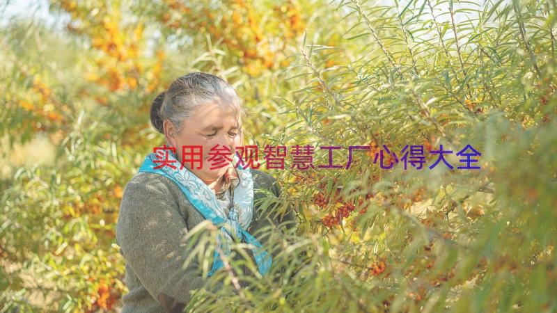 实用参观智慧工厂心得大全（13篇）