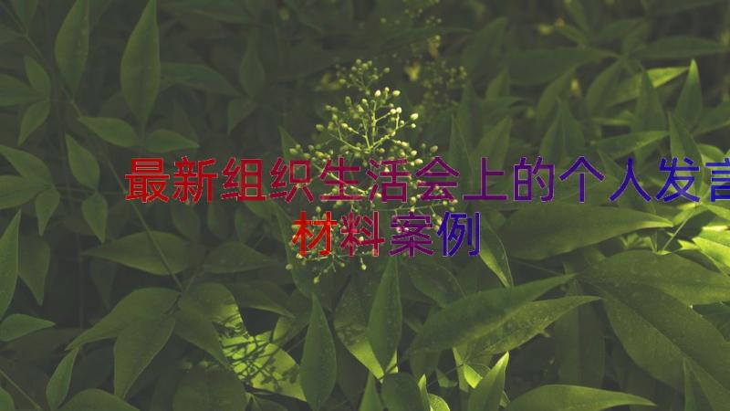 最新组织生活会上的个人发言材料（案例19篇）