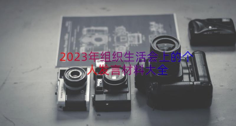 2023年组织生活会上的个人发言材料大全（16篇）