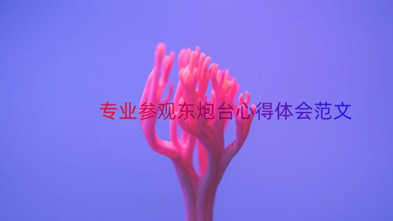 专业参观东炮台心得体会范文（14篇）