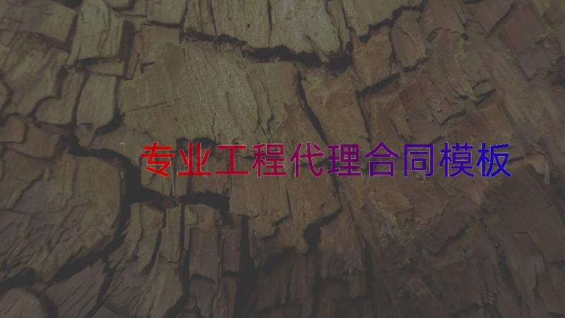 专业工程代理合同（模板15篇）