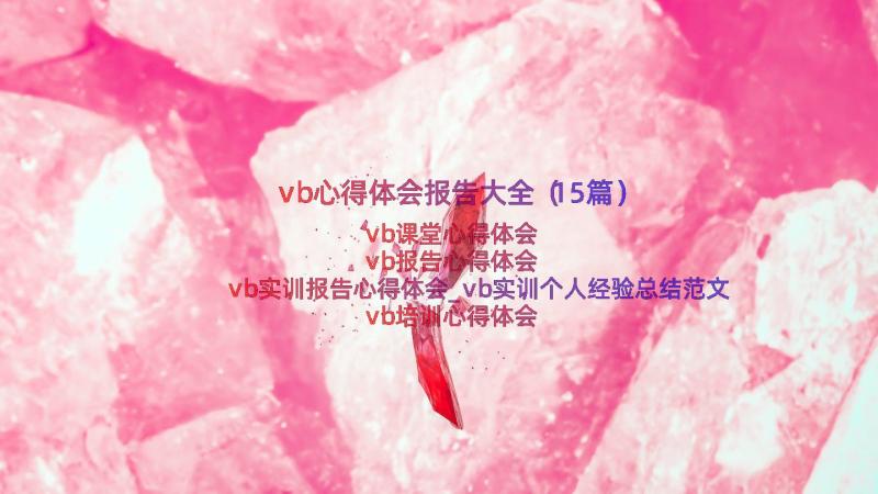 vb心得体会报告大全（15篇）