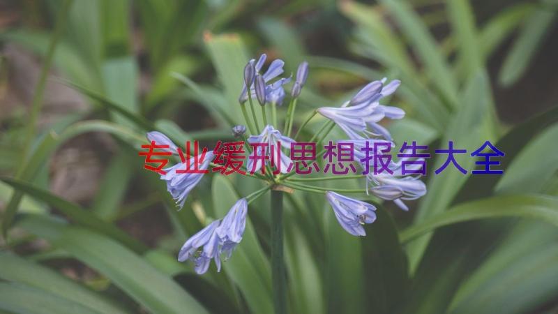 专业缓刑思想报告大全（17篇）