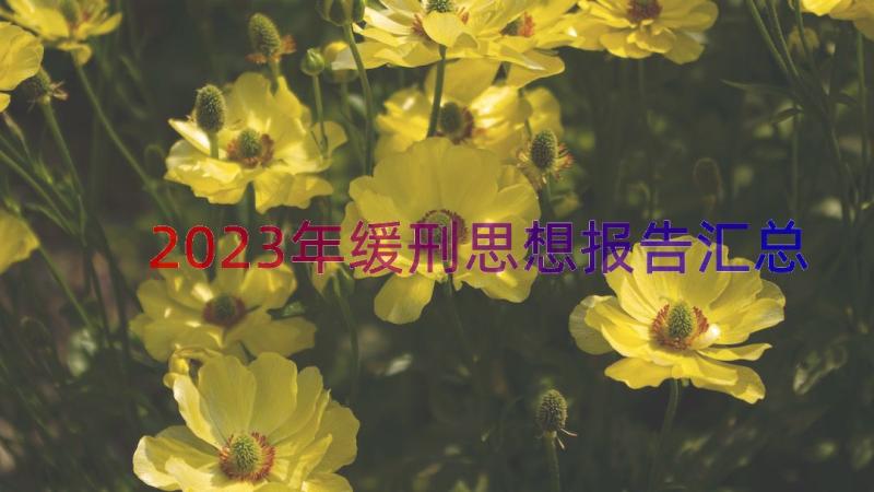 2023年缓刑思想报告（汇总14篇）