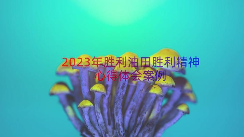 2023年胜利油田胜利精神心得体会（案例14篇）