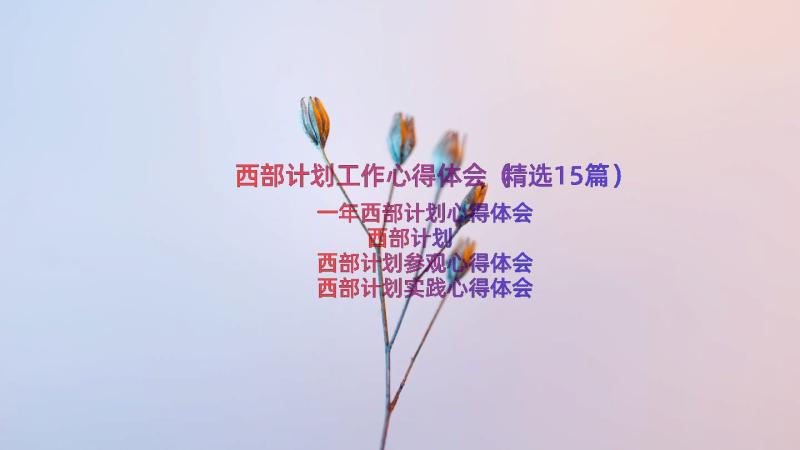 西部计划工作心得体会（精选15篇）