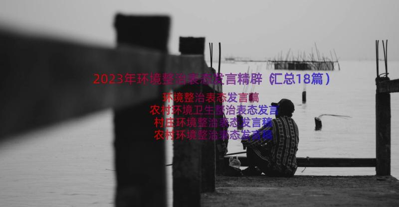 2023年环境整治表态发言精辟（汇总18篇）