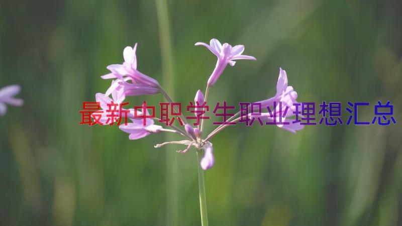 最新中职学生职业理想（汇总16篇）