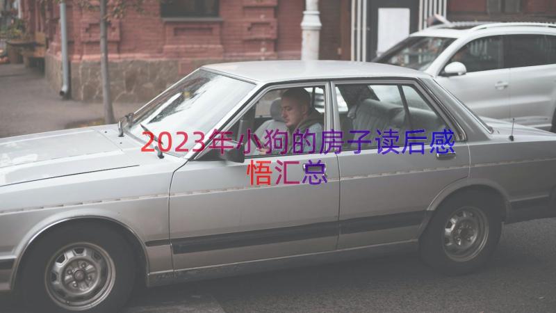 2023年小狗的房子读后感悟（汇总15篇）