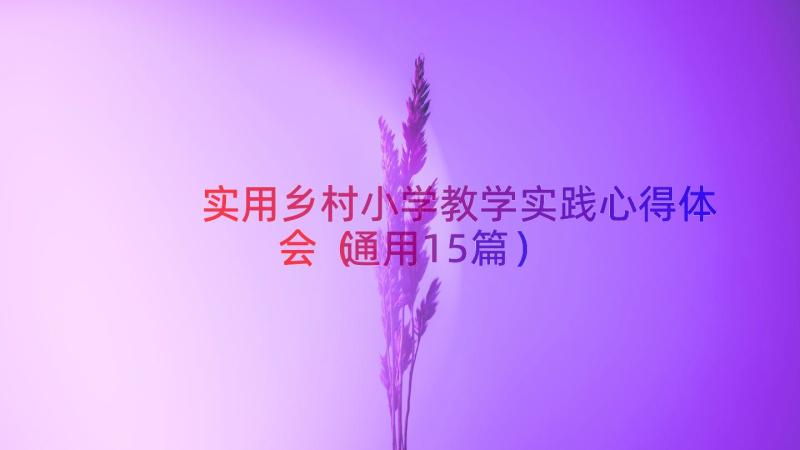 实用乡村小学教学实践心得体会（通用15篇）