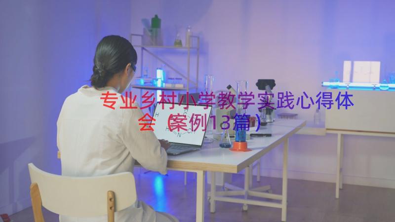 专业乡村小学教学实践心得体会（案例13篇）