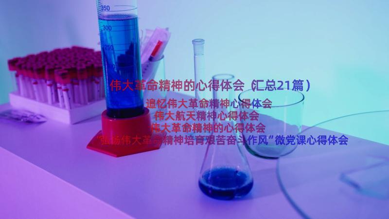 伟大革命精神的心得体会（汇总21篇）