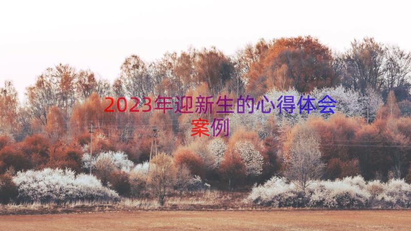 2023年迎新生的心得体会（案例17篇）