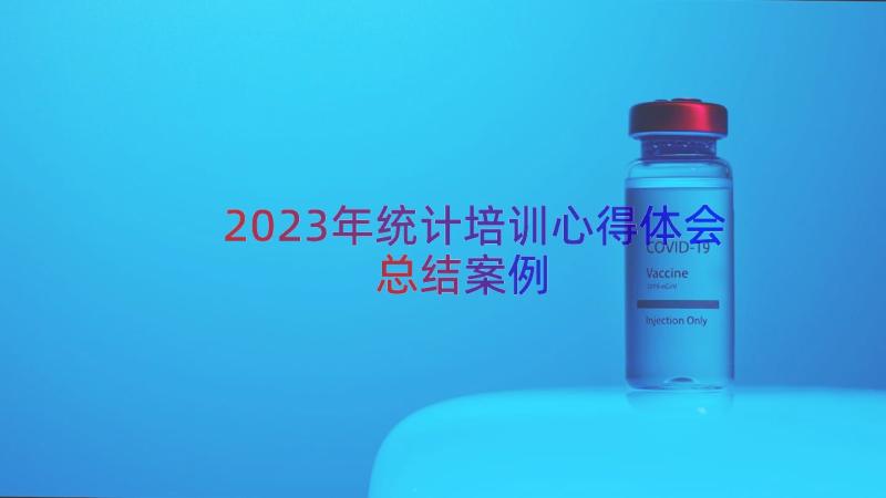 2023年统计培训心得体会总结（案例13篇）