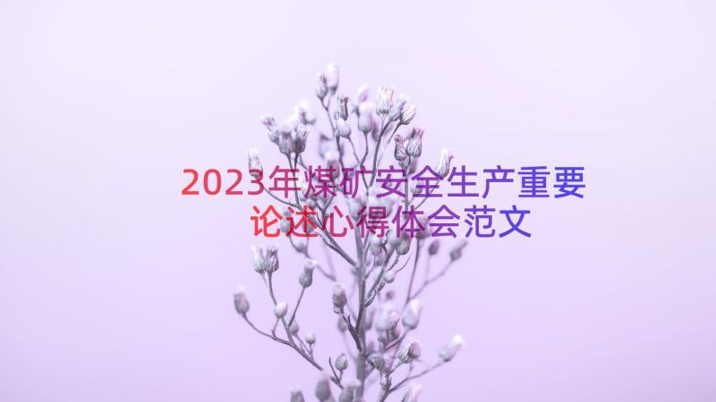 2023年煤矿安全生产重要论述心得体会范文（17篇）